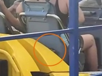どうしてそうなった？ジェットコースターの座席に入り込んだカモ、そのまま時速150kmの大冒険