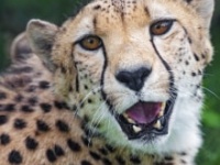 画像はイメージです