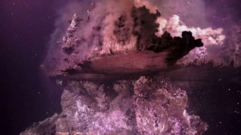 深海2000メートルの熱水噴出孔で形成されていたのは、多様な生物に覆われた鏡のような鉱物の塔（メキシコ）