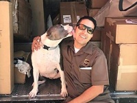 「いつも荷物をありがとう！」宅配ドライバーが出会った動物たちとの記念写真を詰め合わせでどうぞ