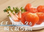 ポン！　一瞬でイチゴのへたを取る裏技