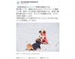 国土交通省公式ツイッターが「職員の愛犬」写真投稿　理由は...「たくさんの人に見てもらうため」