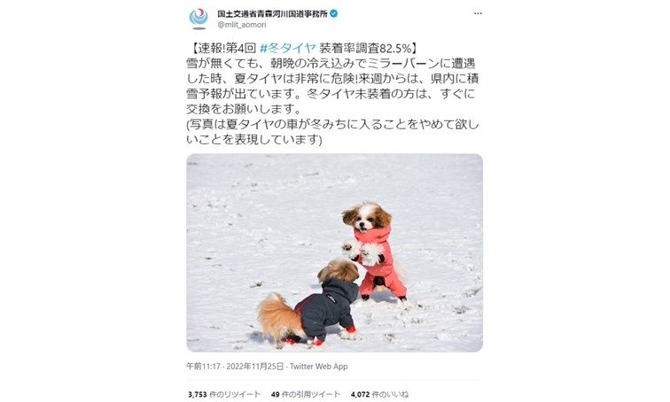 国土交通省公式ツイッターが「職員の愛犬」写真投稿　理由は...「たくさんの人に見てもらうため」