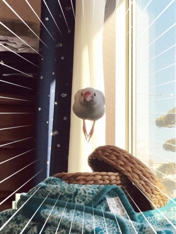 キクチヨ（＠fry13K）さんのツイート