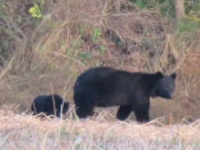 秋田県庁の公式Xより