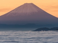 朝焼けまで、まっすぐ歩いて行けそうだ　一面に広がる雲海と富士山のコラボが美しい