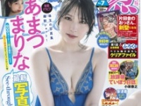 ⒞秋田書店