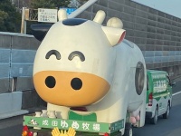 めちゃめちゃ笑顔でこっちを見てる...　高速道路を走る「巨大ウシ」の正体は？