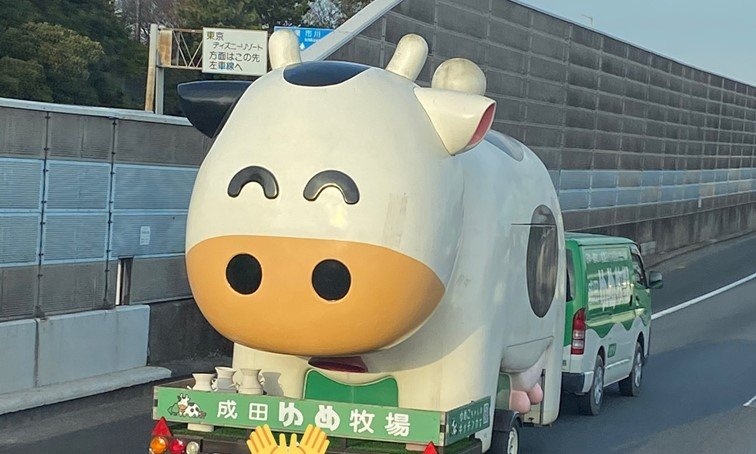 めちゃめちゃ笑顔でこっちを見てる...　高速道路を走る「巨大ウシ」の正体は？