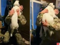 いつだって感動。兵士と愛犬の再会の瞬間