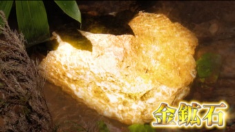 NHK ONEの公式ホームページより