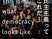 民主党に聞く！ SEALDsが提唱する新法案「立件主義促進法案」ってナニ？
