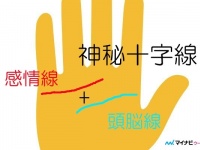 あれば超ラッキー。「珍しい手相」ランキング
