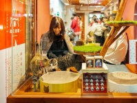 猫派の天国は、大阪にあった　ニャンコたちに見守られながら眠りにつける「ねこ旅籠」が最高すぎる