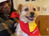 旅の途中で迷子になった犬、17日後に飼い主と感動の再会