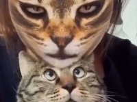 猫顔アプリで猫化した飼い主を見たときの猫の反応