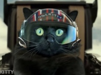 猫が『トップガン・マーヴェリック』に友情出演。違和感なく溶け込みすぎている件