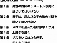 メロン泥棒はやっぱり相当多いらしい