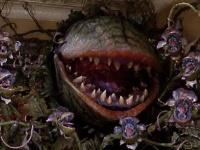 植物だって相当ヤバイ、恐怖の殺人植物ベスト10