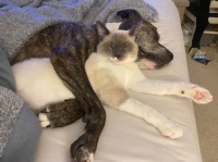 息をするように愛情を表す。自然に寄り添う動物たちのやさしい世界