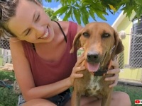 道端にいた運命の出会い！だが「家ではあなたを飼えないの…」そこで女性がとった決断とは