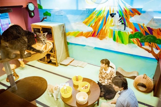 銭湯をイメージした店内（画像はネコリパブリック大阪提供）