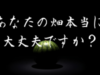 株式会社TCIのプレスリリース画像