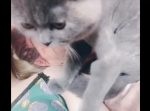 モミモミ・・・猫ちゃんによるマッサージが気持ち良さそう♪