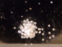 宇宙で人間の軟骨を組み立てることに成功（ロシア研究）