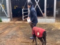 めっちゃ素直...！（田中一馬さんのツイートより）
