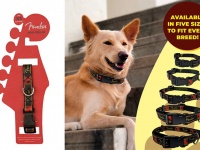 愛犬を奏でたい？ギターメーカー「フェンダー」が犬用首輪とリードを販売中