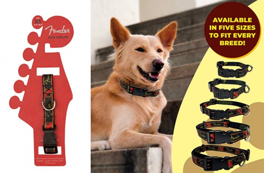 愛犬を奏でたい？ギターメーカー「フェンダー」が犬用首輪とリードを販売中