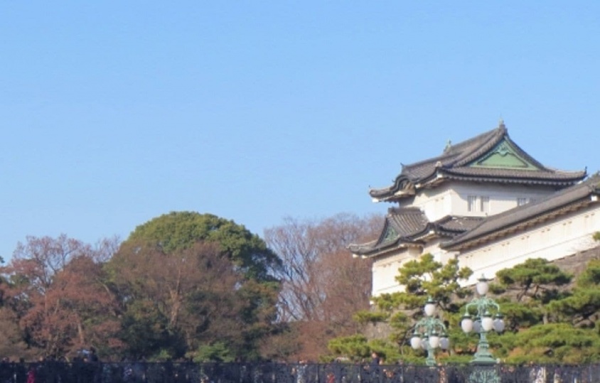 写真はイメージです