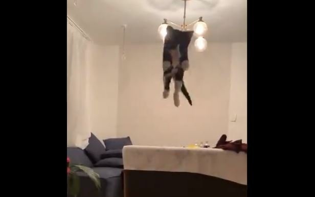 サブちゃん（＠snosukenosuke）さんのツイートより