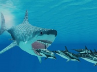 メガロドンの絶滅の要因の1つにホホジロザメの存在が浮上。同じ獲物を奪い合っていた