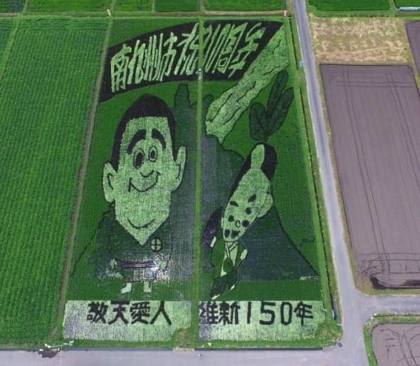 南九州市の田んぼアート（画像提供：農事組合法人「たべた」実行委員会）