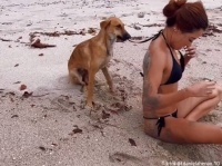 犬は治外法権。女性のビキニの紐をひっぱりまくる犬のこの後すぐ！