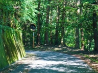 長野県の山中で体験した「旅先いい話」（画像はイメージ）