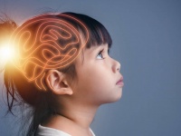 人間の脳は過去数十年で大きくなっている。健康に影響はあるのか？