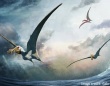 恐ろしい捕食者だった。1億年前の巨大な翼竜の化石がオーストラリアで新たに発見される