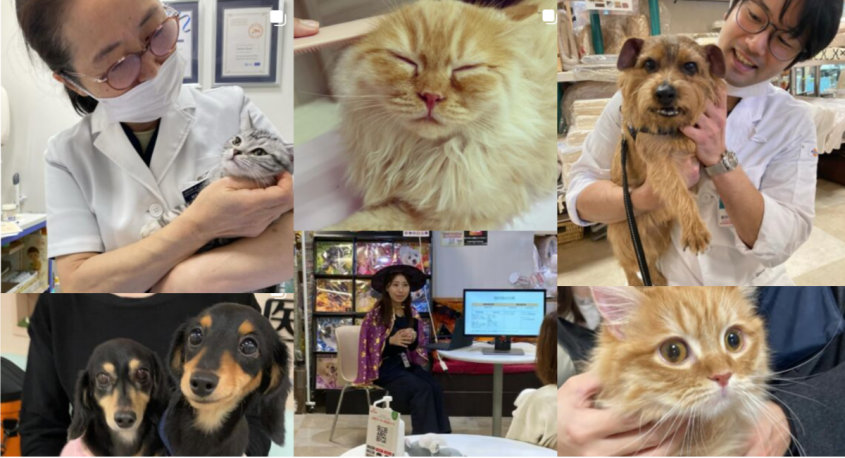 いずみ動物医療グループのプレスリリース画像