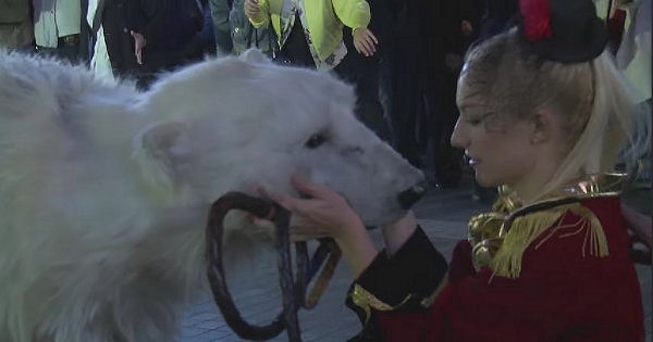 10月8日に渋谷のスクランブル交差点に出現、そして同月24日に犯行予告通りに新宿東口に現れ、ネットを騒然とさせた白熊と「LALSH」という謎のグループ。その正体はすでに明らかとされていますが、なんとそのパフォーマンスには、さらなる続報が隠されていたようなのです。はたして、このシロクマの正体とは？