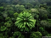 世界で最も孤独な古代ソテツ類のオス木の為、AI技術とドローンを駆使した嫁探しが進行中