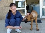 動物保健所の職員が職務に耐え切れず自殺… 生前には誹謗中傷も
