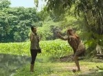 この後、女性がワニに食われます。一瞬です【40秒動画】