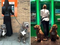 海外のATMでお金を降ろす時の心得。鉄壁の防御で飼い主を守るATM番犬たちのいる風景