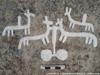 動物に人、船に。苔の下から2700年前の岩面彫刻が発見される
