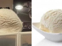 可愛い？…いや、それより美味しそう？食べ物そっくりに見えちゃう生き物たち