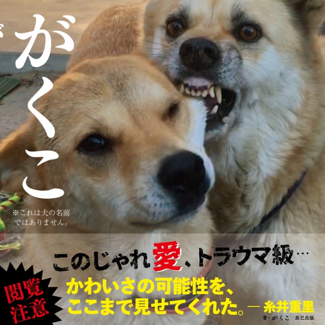 辰巳出版株式会社のプレスリリース画像