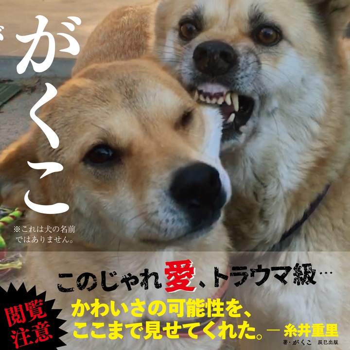 辰巳出版株式会社のプレスリリース画像